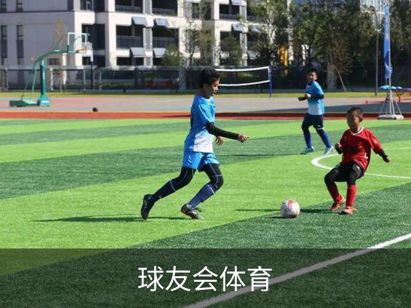 球友会体育概况